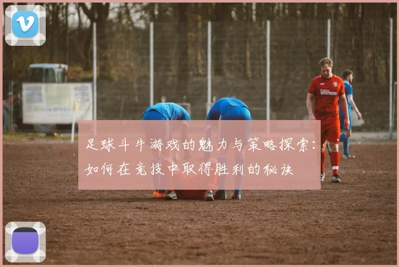 足球斗牛游戏的魅力与策略探索：如何在竞技中取得胜利的秘诀