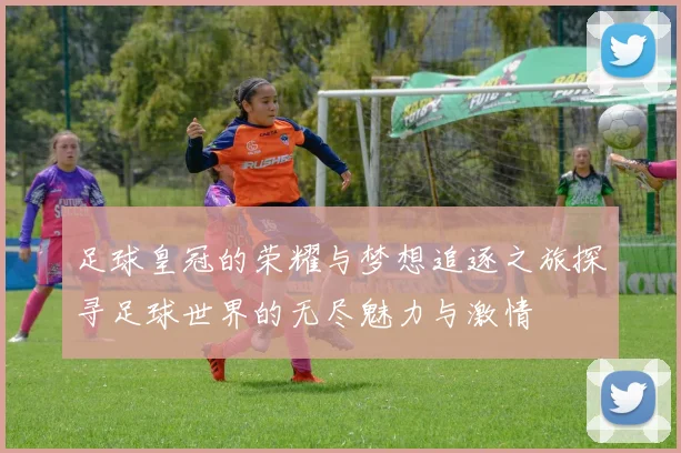 足球皇冠的荣耀与梦想追逐之旅探寻足球世界的无尽魅力与激情